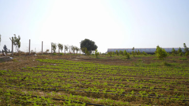 MENDERES TAM DONANIMLI SERA KONUT TİCARİ İMARLI 21.400 M2 ÇİFTLİK